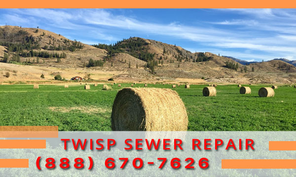 Drain Cleaning-Twisp-WA