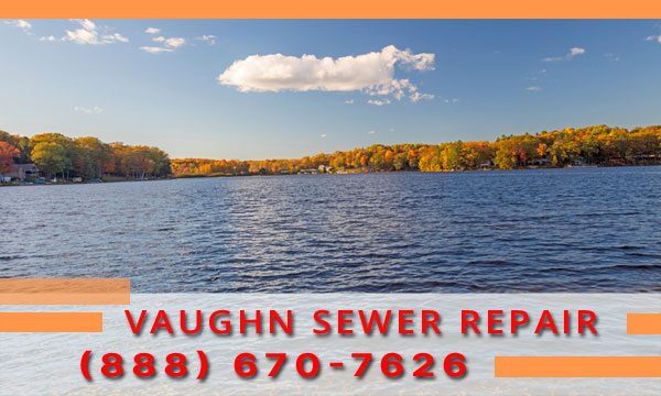 Drain-Cleaning-Vaughn-WA