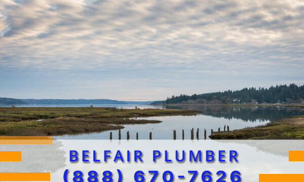 Plumber-Belfair-WA