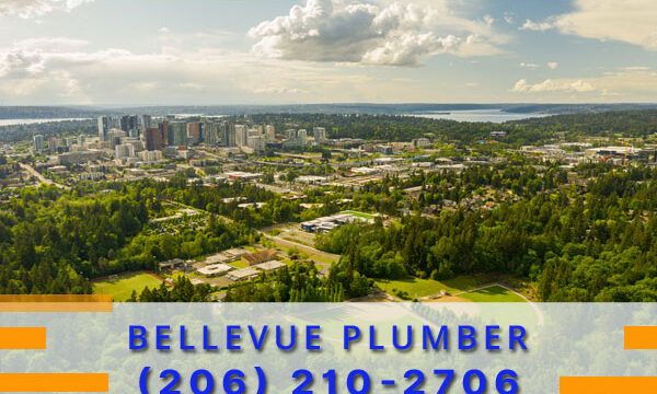 Plumber-Bellevue-WA