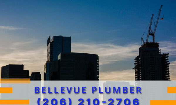 Plumber-Bellevue-WA