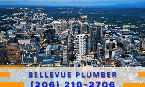 Plumber-Bellevue-WA