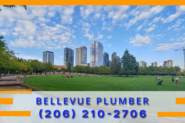 Plumber-Bellevue-WA