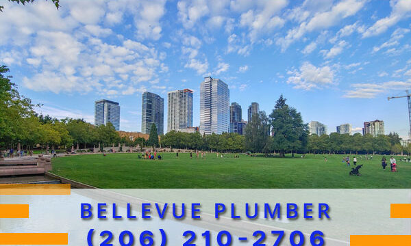 Plumber-Bellevue-WA