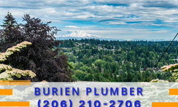 Plumber-Burien-WA