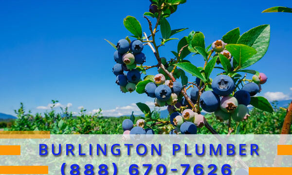 Plumber-Burlington-WA