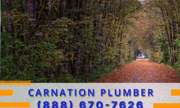 Plumber-Carnation-WA