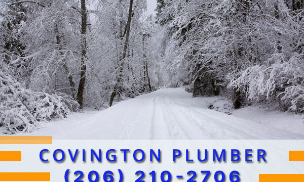 Plumber-Covington-WA