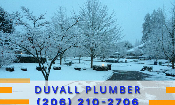 Plumber-Duvall-WA