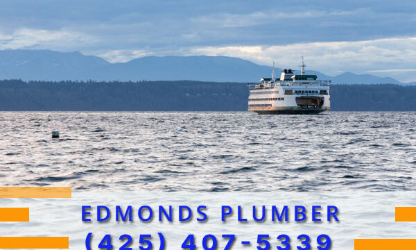Plumber-Edmonds-WA