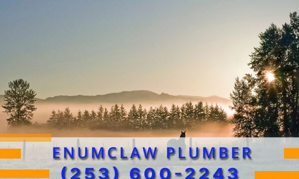 Plumber-Enumclaw-WA