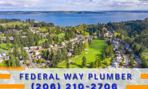 Plumber-Federal-Way-Wa