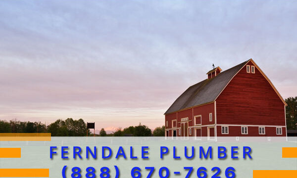 Plumber-Ferndale-Wa