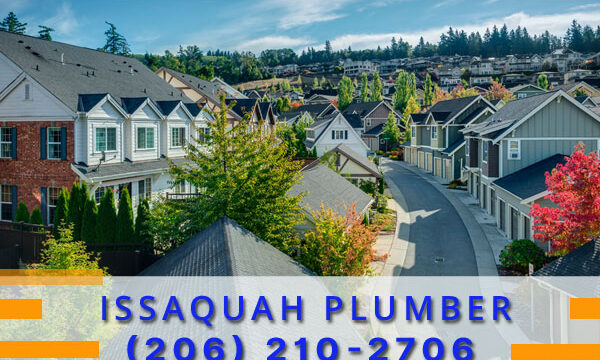 Plumber-Issaquah-WA
