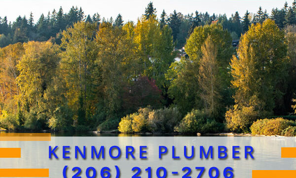 Plumber-Kenmore-WA