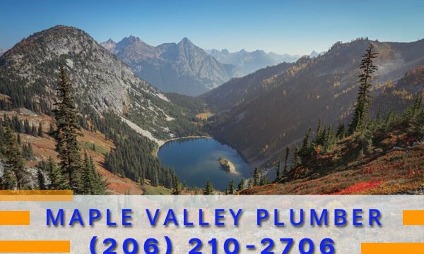 Plumber-Maple-Valley-WA