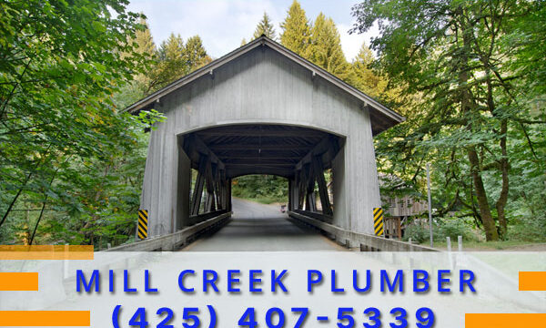 Plumber-Mill-Creek-WA