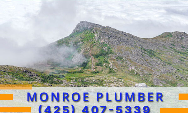 Plumber-Monroe-WA