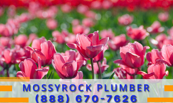 Plumber-Mossyrock-WA
