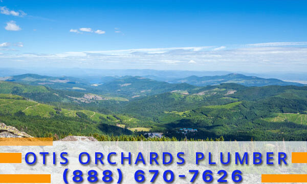 Plumber-Otis-Orchards-WA