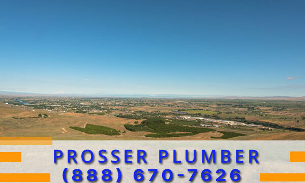 Plumber-Prosser-WA