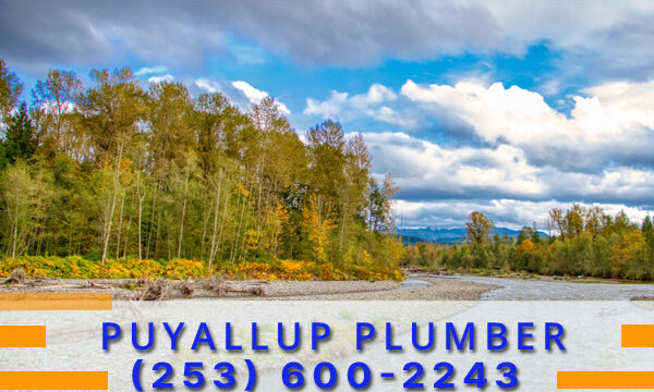 Plumber-Puyallup-WA