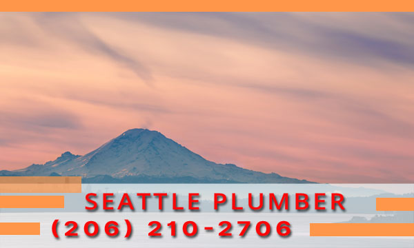 Plumber-Seattle-WA (3)
