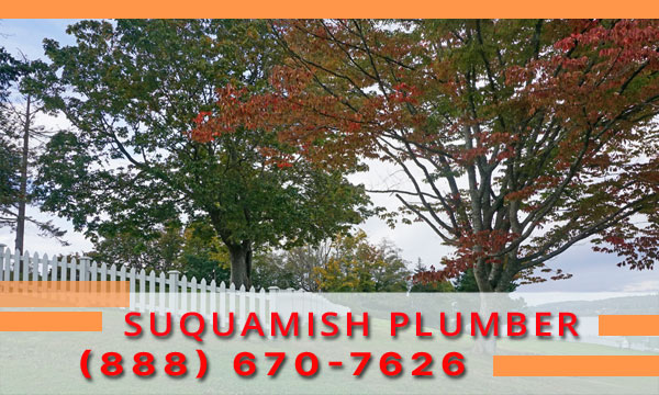 Plumber-Suquamish-WA