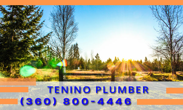 Plumber-Tenino-WA