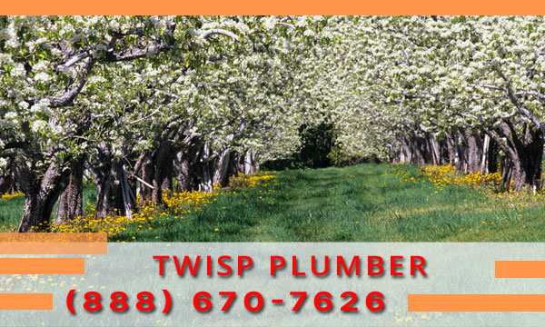 Plumber-Twisp-WA