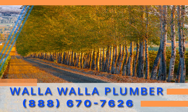 Plumber-Walla-Walla-WA