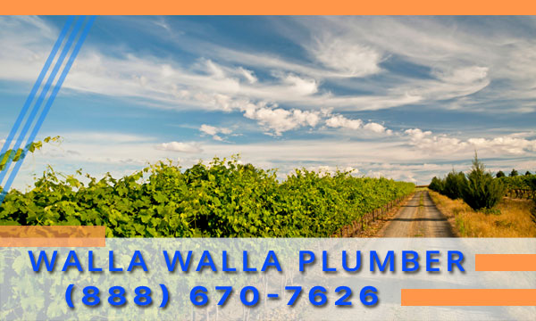 Plumber-Walla-Walla-WA