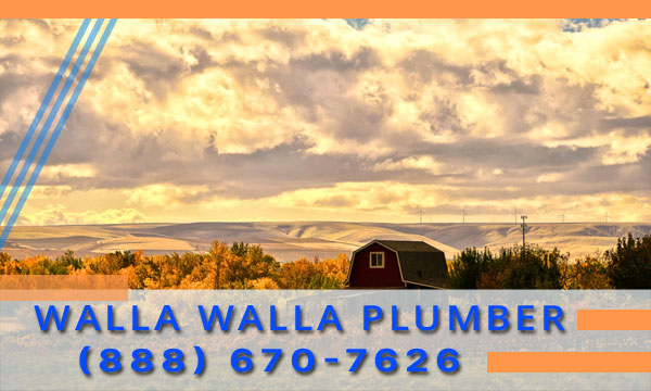 Plumber-Walla-Walla-WA