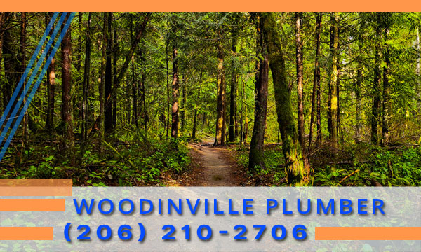 Plumber-Woodinville-WA