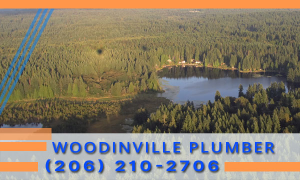 Plumber-Woodinville-WA