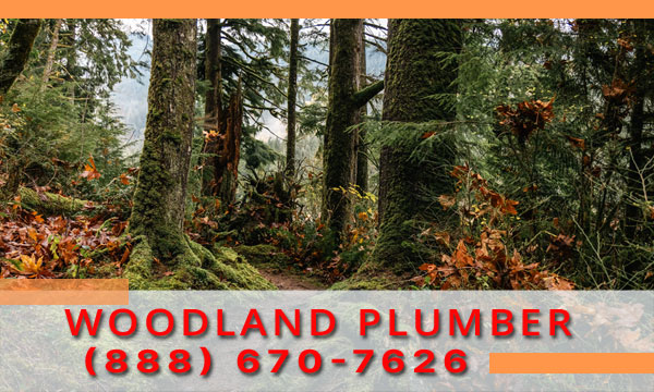 Plumber-Woodland-WA