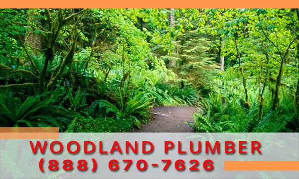 Plumber-Woodland-WA