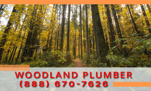 Plumber-Woodland-WA