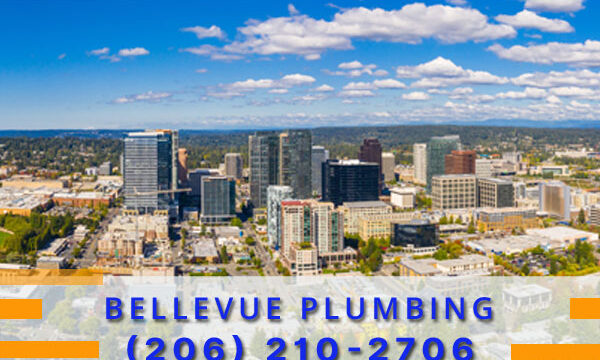 Plumbing-Bellevue-WA