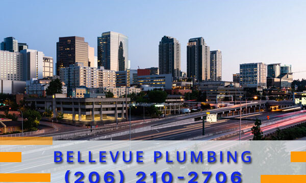 Plumbing-Bellevue-WA