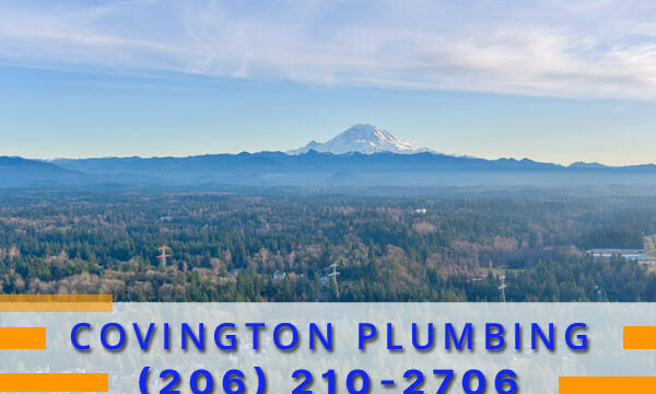 Plumbing-Covington-WA