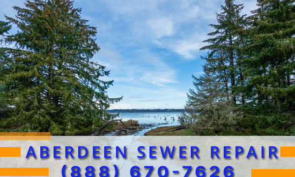 Septic-Tank-Aberdeen-WA