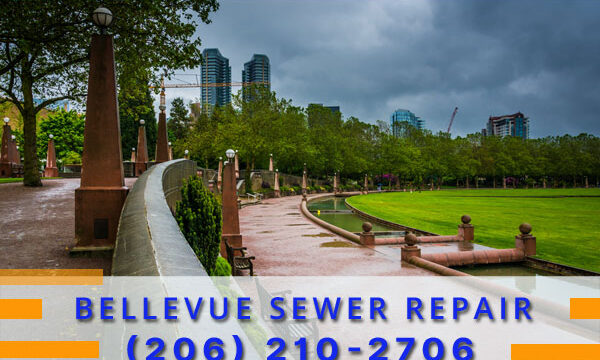 Septic-Tank-Bellevue-WA