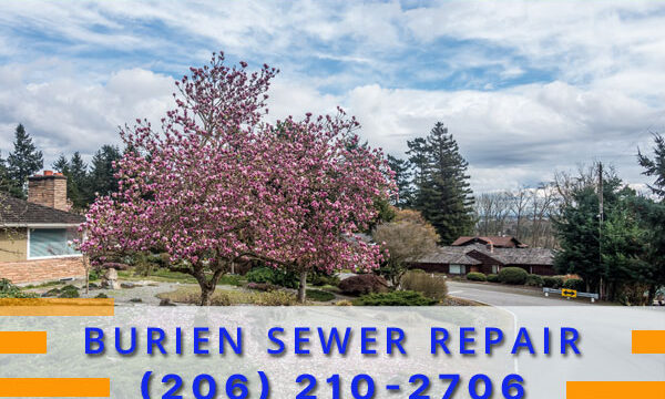 Septic-Tank-Burien-WA