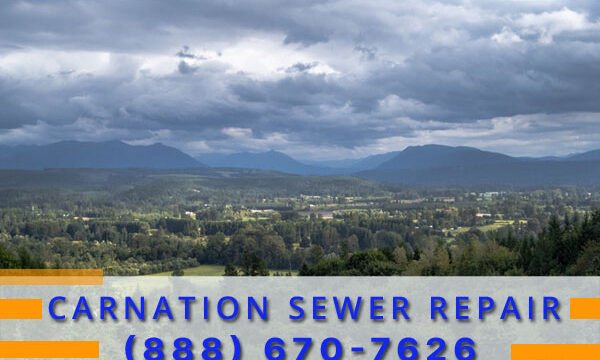 Septic-Tank-Carnation-WA