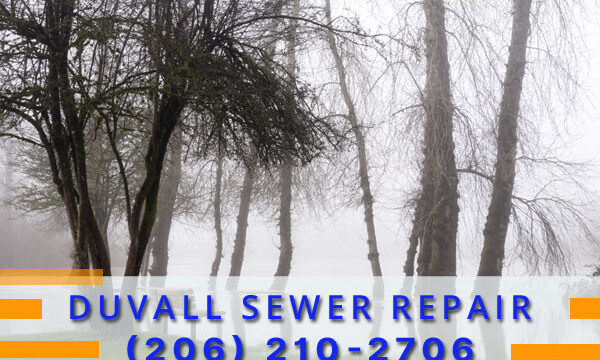 Septic-Tank-Duvall-WA