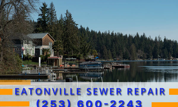 Septic-Tank-Eatonville-WA