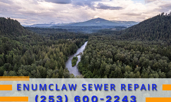 Septic-Tank-Enumclaw-WA