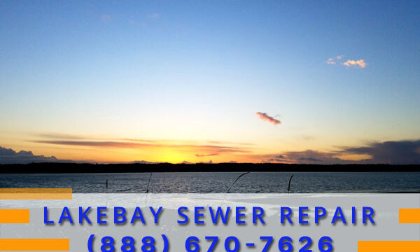 Septic-Tank-Lakebay-WA