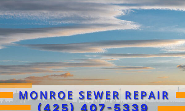 Septic-Tank-Monroe-WA